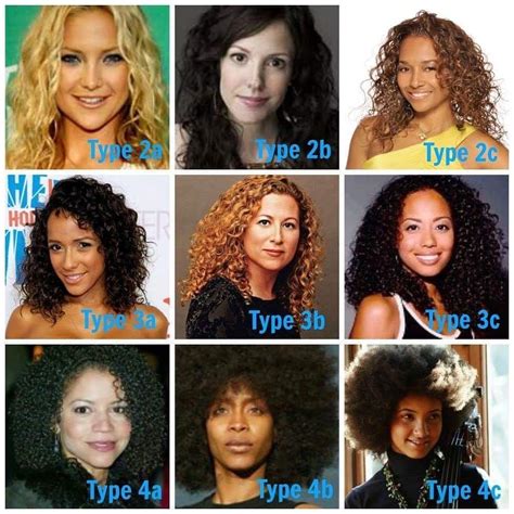 Natural Hair Types Natural Hair Types Hair Type Chart Curly Hair Types