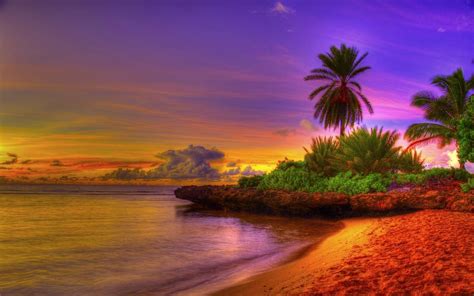Tropical Sunrise Wallpaper Pictures 5 Hd Wallpapers