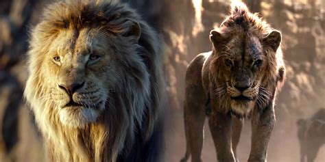 The Sweetest Young Lion Scars Lion King Prequel Backstory Teased By