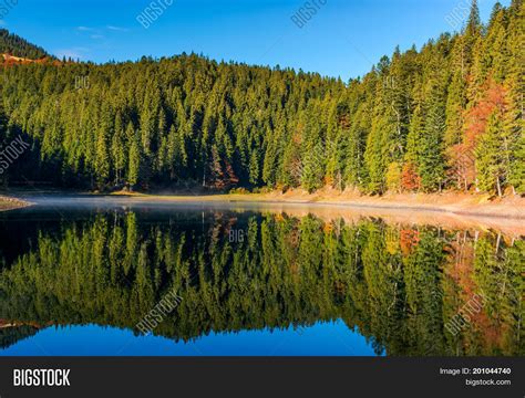 Coniferous Forest Lake Image And Photo Free Trial Bigstock