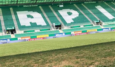 Runde der tipico bundesliga zum spiel scr altach gegen sk rapid wien! SK Rapid Wien: Pilzbefall im Spiel gegen SCR Altach im ...