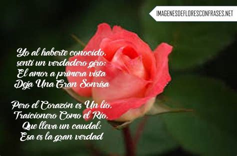Imagenes De Rosas Con Poemas Cortos De Amor Para Mi Novia Poemas De Rosas Poema Cortos De