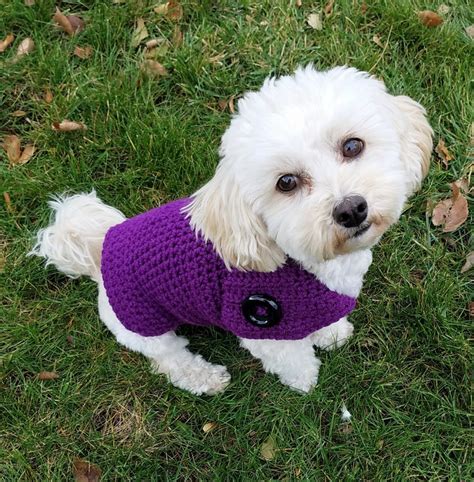 Purple Dog Sweater Handmade Dachshund Sweaters For Dogs Etsy