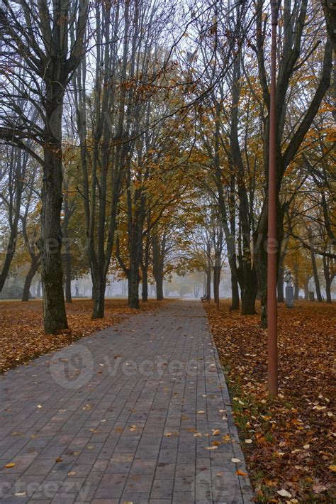 Cobblestone Road In Autumn Park Strewn With Fallen Yellowed Foliage In