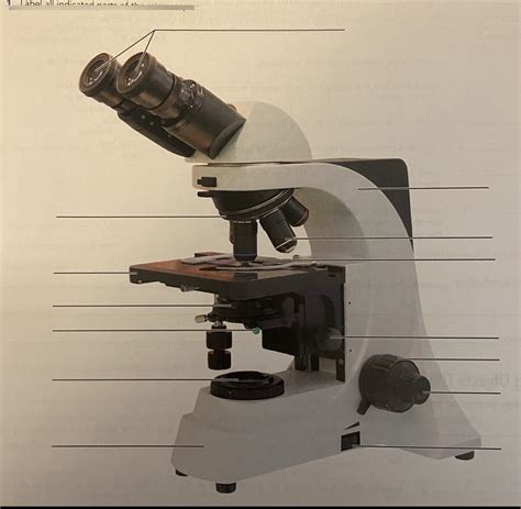 Lab Practical 1 Microscope Diagram Quizlet