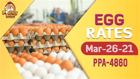 Egg Rates 26 March 2021 Daily Egg Rates In Punjab Poultry Rates