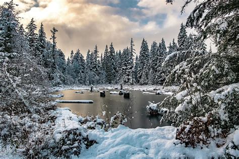 Snowy Pond Photograph By Captured By Coletta