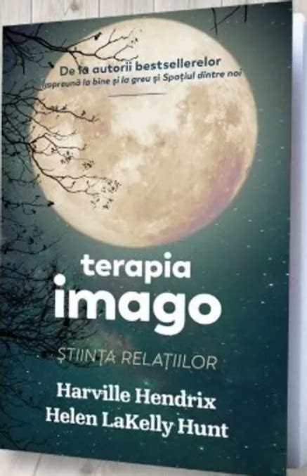 terapia imago harville hendrix helen lakelly hunt