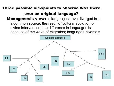 Theories Of The Origins Of Language By Rabia