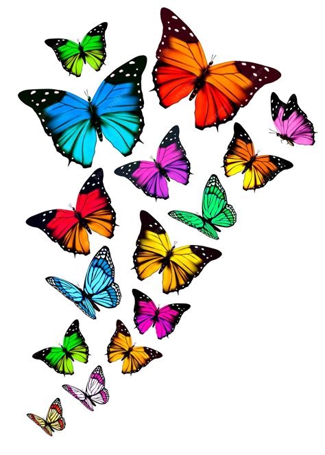Fondo Con Mariposas De Colores Vector Premium