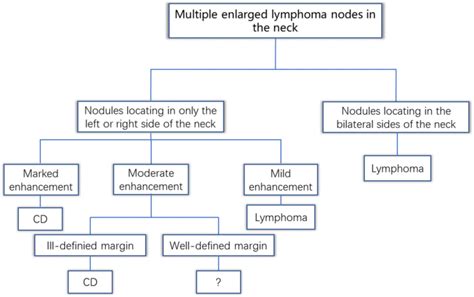 Castleman Disease Versus Lymphoma In Neck Lymph Nodes A Comparative