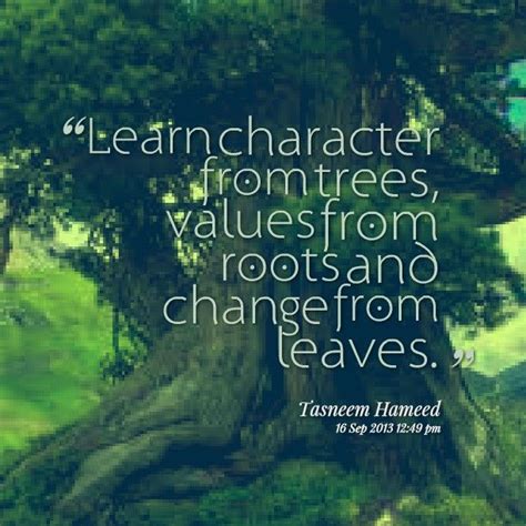 Learn From Trees Tree Of Life Quotes Nature Quotes Nature Quotes Trees