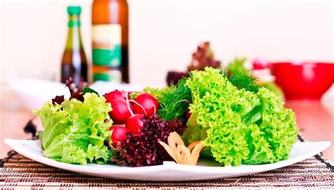 Guía Básica De La Dieta Vegetariana