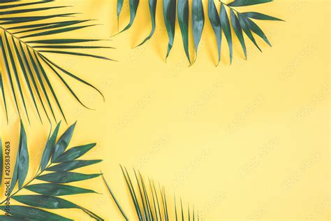 Tropical Palm Leaves On Yellow Background Summer Concept Flat Lay