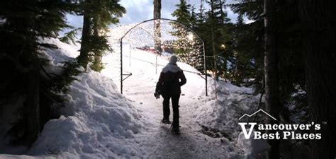 Grouse Mountain Snowshoeing Trails Vancouvers Best Places