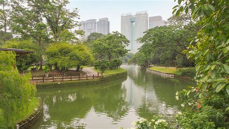 Garden nature flowers flora botany spring bloom lavender blossom botanical. Perdana Botanical Garden - Islamic Tourism Centre of ...