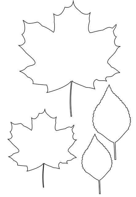 Красивые осенние листья распечатать - Трафарет Осенние листья Уроки рисования для начинающих ...
