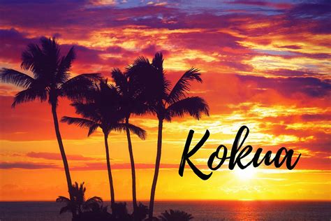 What Does Kokua Mean In Hawaiian Hawaii Star