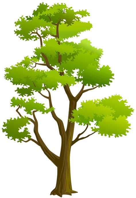 Tree Clipart High Resolution Tree High Resolution Transparent Free For