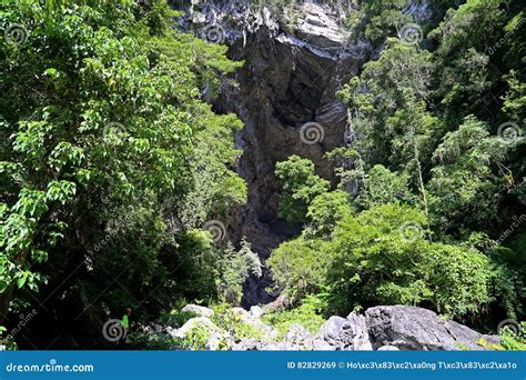 Entrance Of A Cave In The Jungle Stock Image Image Of Natural Hole