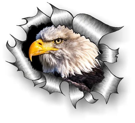 Eagle Gallery Bald Eagle Sticker