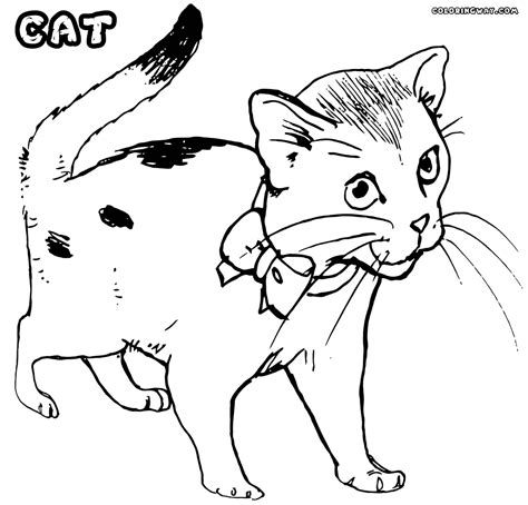 Cat coloring pages | Coloring pages to download and print