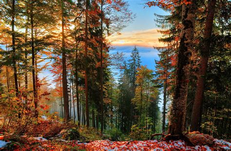 Autumn Landscape Of Extraordinary Beauty View From The