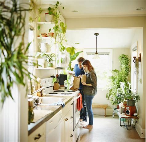 Zuerst müssen sie sich mit einem speziellen werkzeug bewaffnenzur bekämpfung von feuchtigkeit tausendfüßler in der wohnung eines mehrstöckigen gebäudes, inmeist erscheinen aus minen durch das badezimmer und die toilette. Nasa empfiehlt: Diese 5 Pflanzen reinigen die Luft in ...