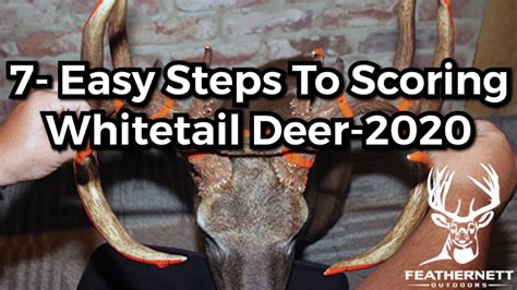 7 Easy Steps To Scoring Whitetail Deer 2020 Feathernett