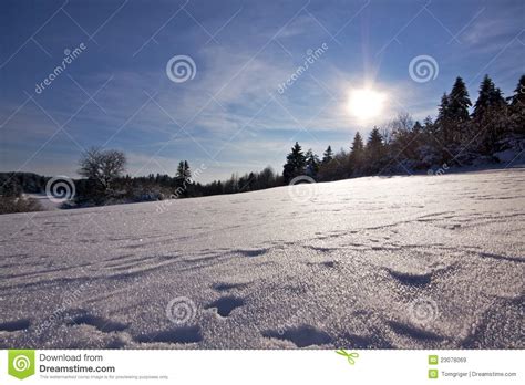 Snowy Countryside Stock Image Image Of Tree Winter 23078069