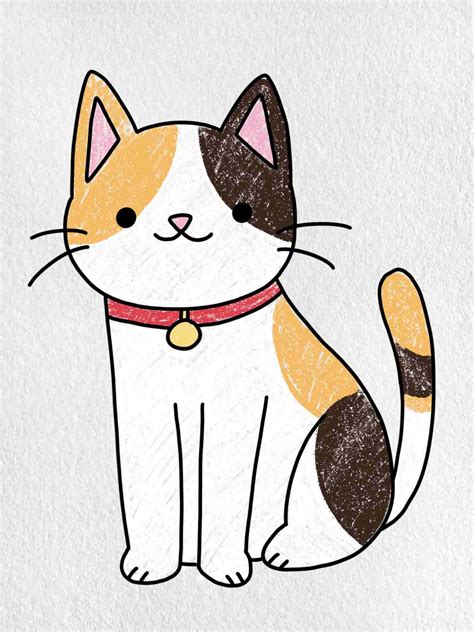 Cat Drawing For Kids Nguyen Coners