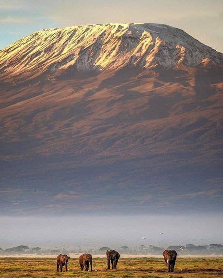 Majestic Kilimanjaro Located In Tanzania Mount Kilimanjaro Is The