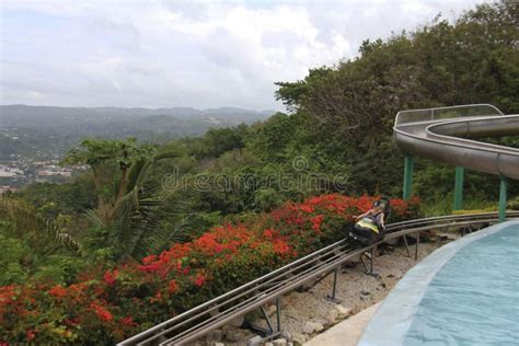 Jamaica Mystic Mountain Water Slide Swimming Pool Entertainmen Stock