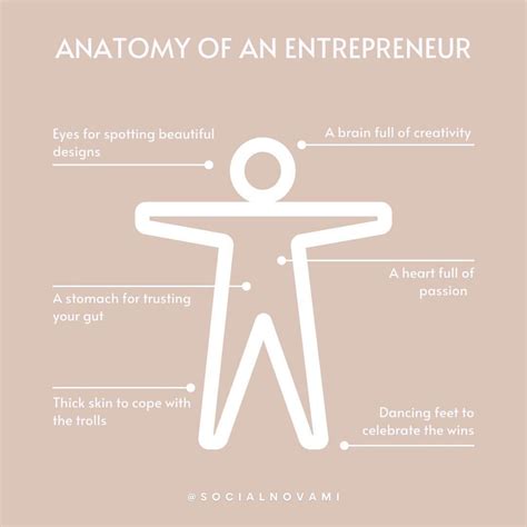 Anatomy Of An Entrepreneur Social Nova Edition 😂😉 What Would You
