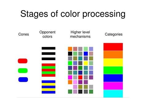 Ppt Color Perception Powerpoint Presentation Free Download Id5519988