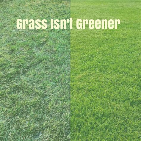 The Grass Isn't Greener - ELEVATION 7