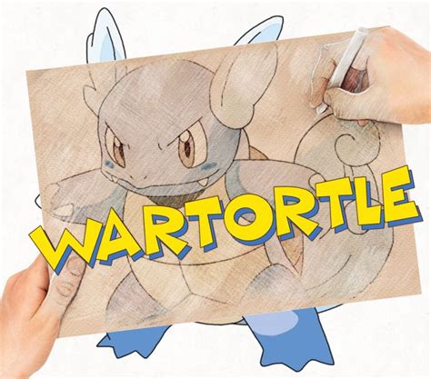 How To Draw And Color Every Pokémon 008 Wartortle Schillok