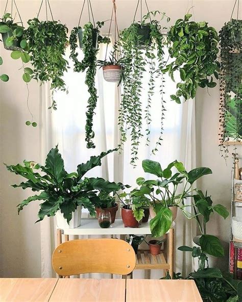Alluring Ways To Display Your Favorite Flowers 00019 Room With Plants