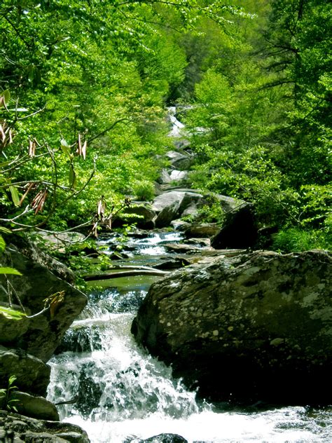 1 (828) 898.8965 1 (800) 887.2446 Waterfalls Near Blowing Rock | Blowing rock, Waterfall ...