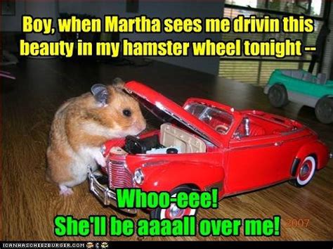 Hamster Meme Facetime 