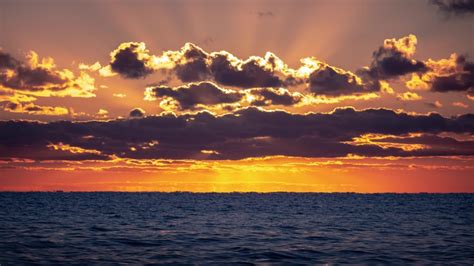 Viewing The Lake Michigan Horizon In The Morning Image Free Stock