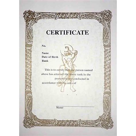 Martial Arts Rank Certificate On Sale275