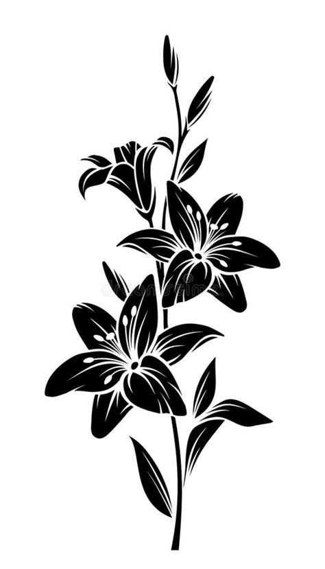 Lily Vector Black Silhouette Stock Illustrations 4412 Lily Vector