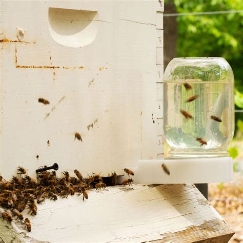 Boardman Feeder Bee Feeder Beekeeping Supplies Sunvara