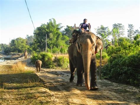 Bardiya National Park In Nepal A Travel Guide Backpack Adventures