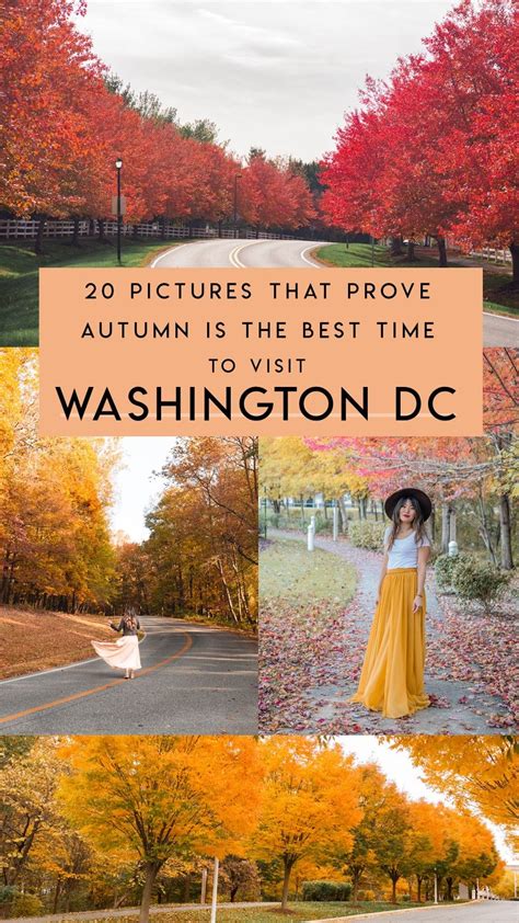 The Best Places To Enjoy Fall In Washington Dc This Washington Dc Travel Guide Shares All The