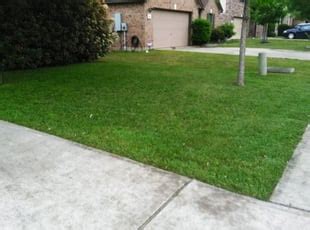 Call today to learn more about effective mosquito reduction program. Roanoke, VA Landscaping from $29 | #1 Landscapers | Best ...