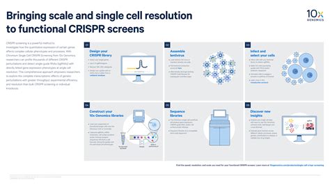 Infographic Bringing Scale And Single Cell Resolution To Functional