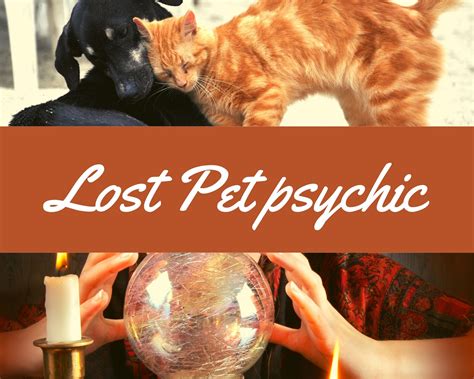 Lost Pet Psychic Real Pet Psychic Services