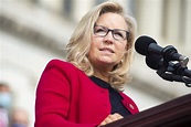 Liz Cheney raised $1.5 million amid party blowback for her vote to ...